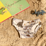 Dinosaur Organic Cotton Girls Undies-SQ6012811