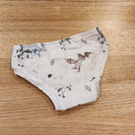 Baby Dinosaurs Little Girls Briefs-SQ2708438