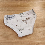 Baby Dinosaurs Little Girls Briefs-SQ2708438