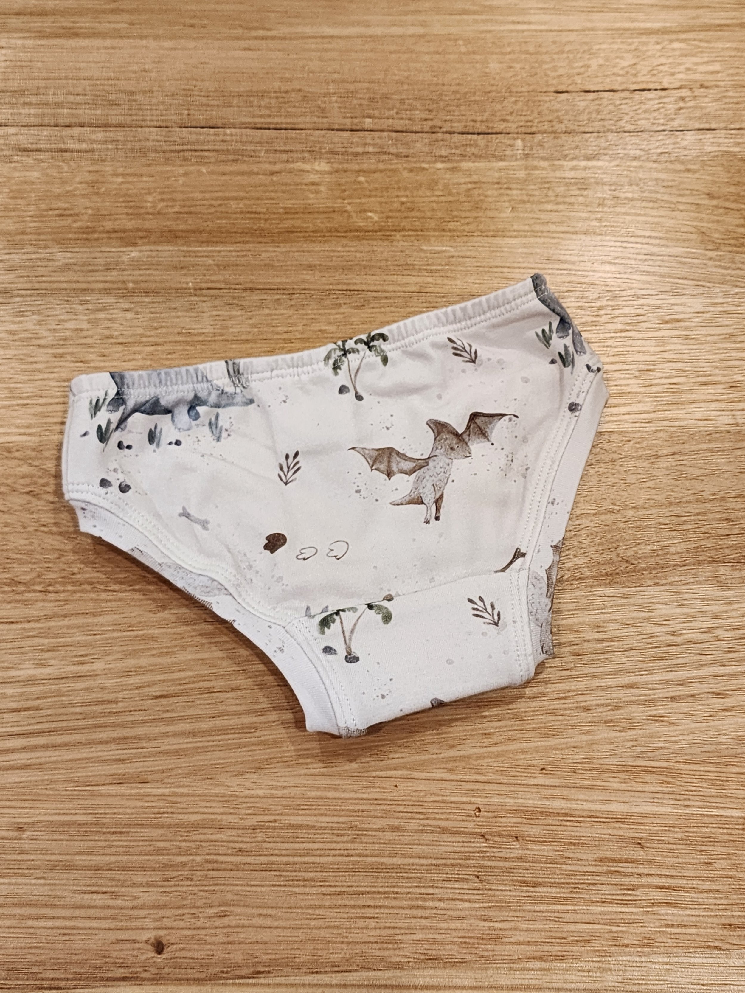 Baby Dinosaurs Little Girls Briefs-SQ2708438