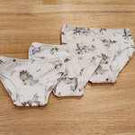 Baby Dinosaurs Little Girls Briefs-SQ2708438