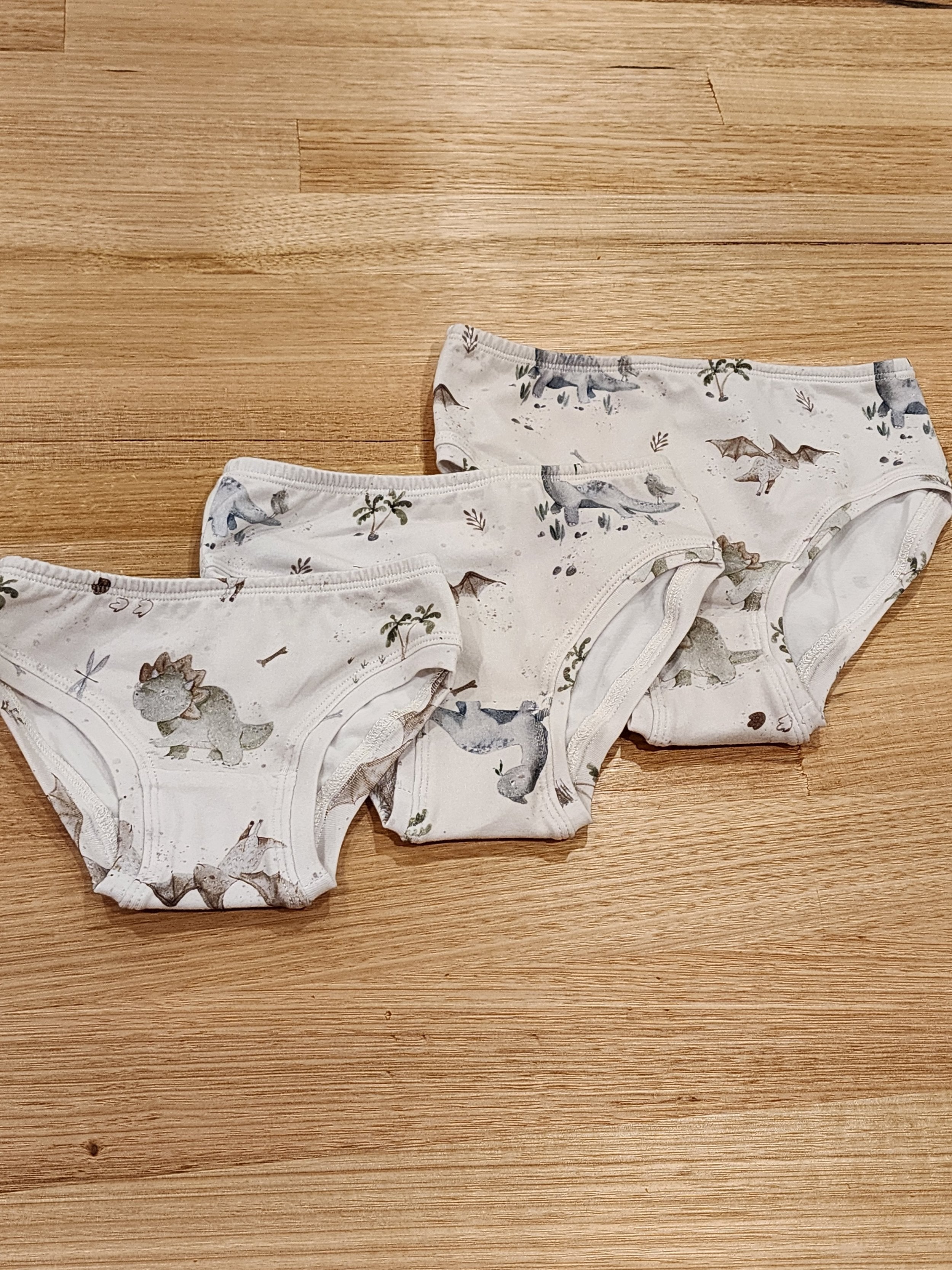 Baby Dinosaurs Little Girls Briefs-SQ2708438