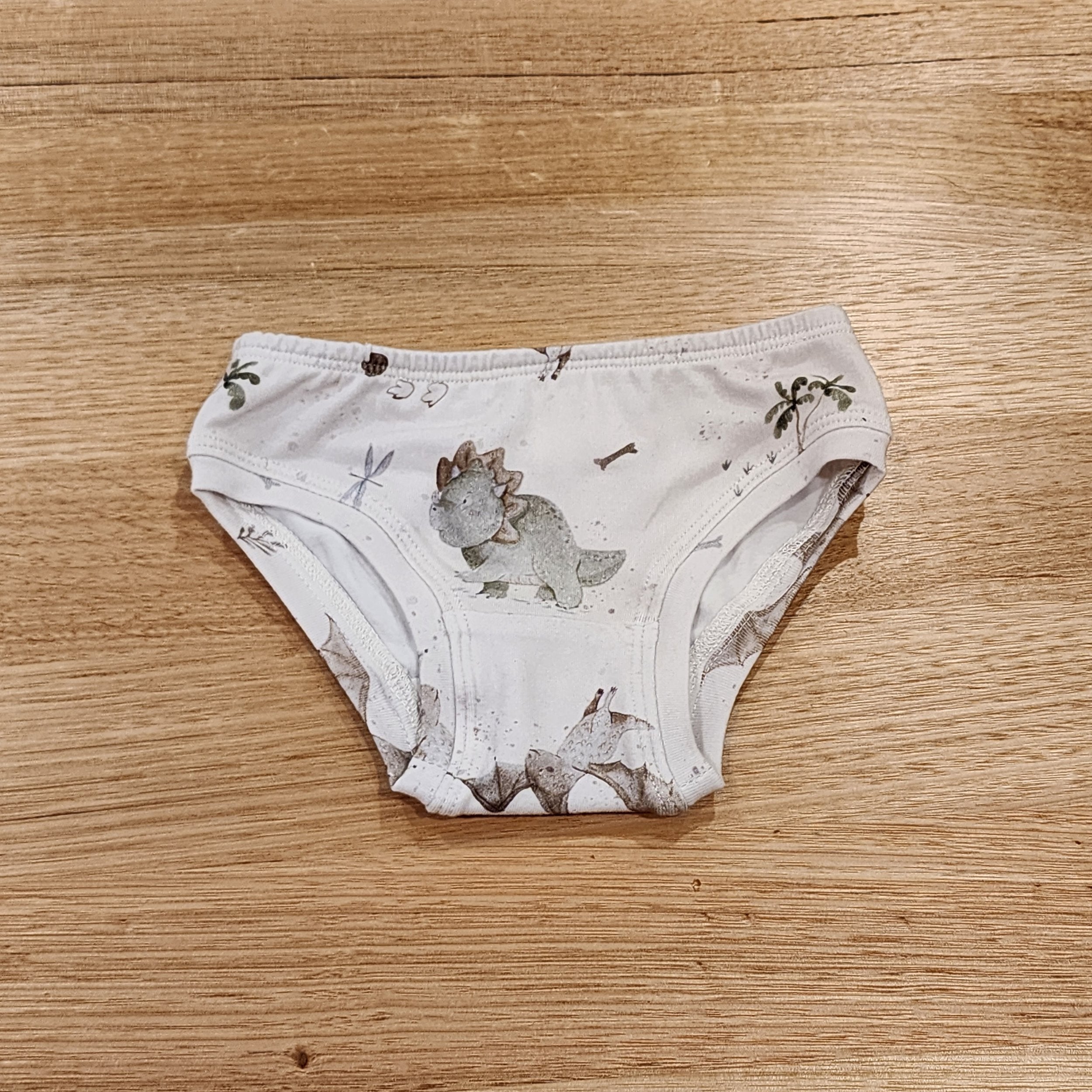 Baby Dinosaurs Little Girls Briefs-SQ2708438