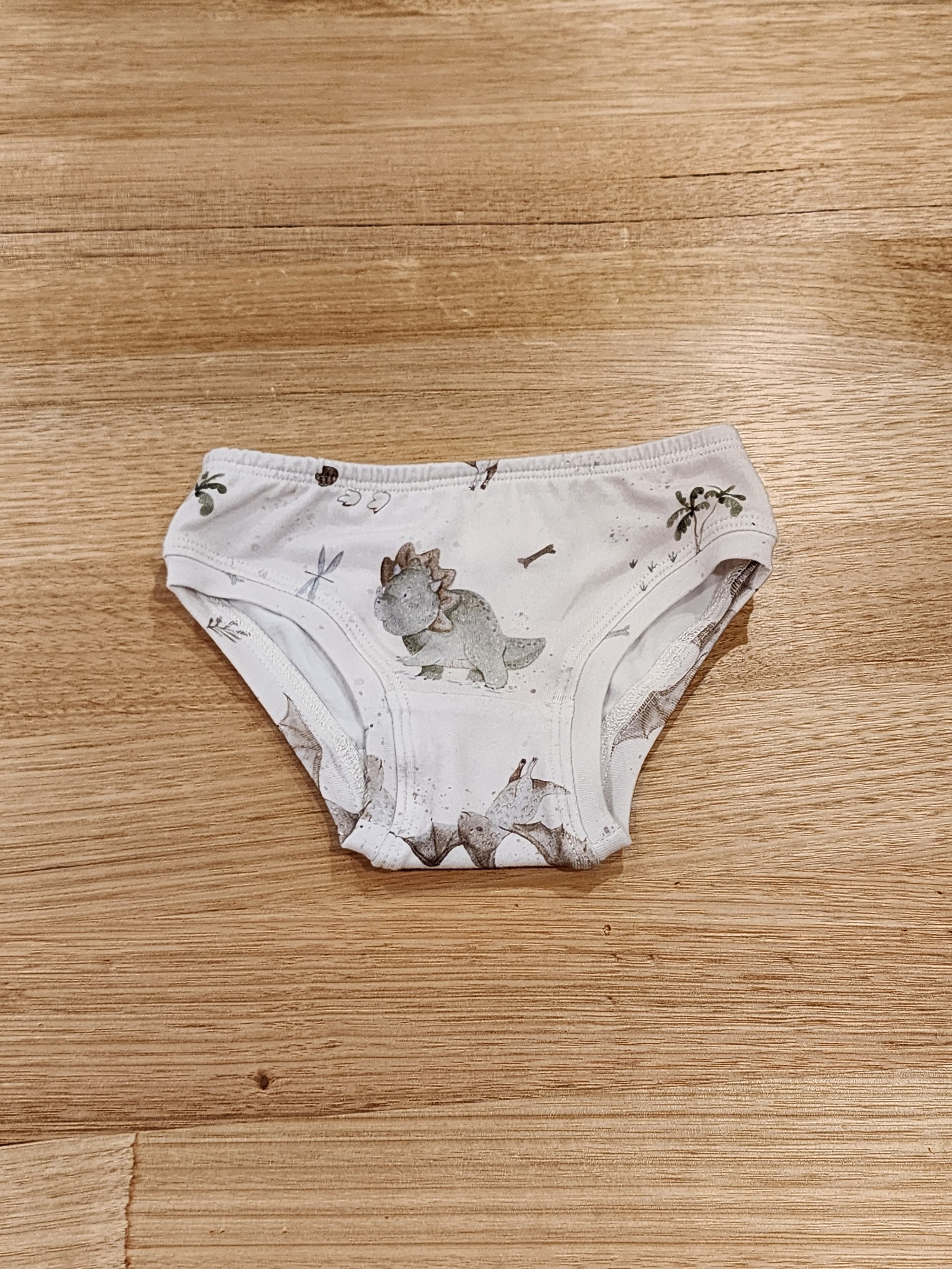 Baby Dinosaurs Little Girls Briefs-SQ2708438