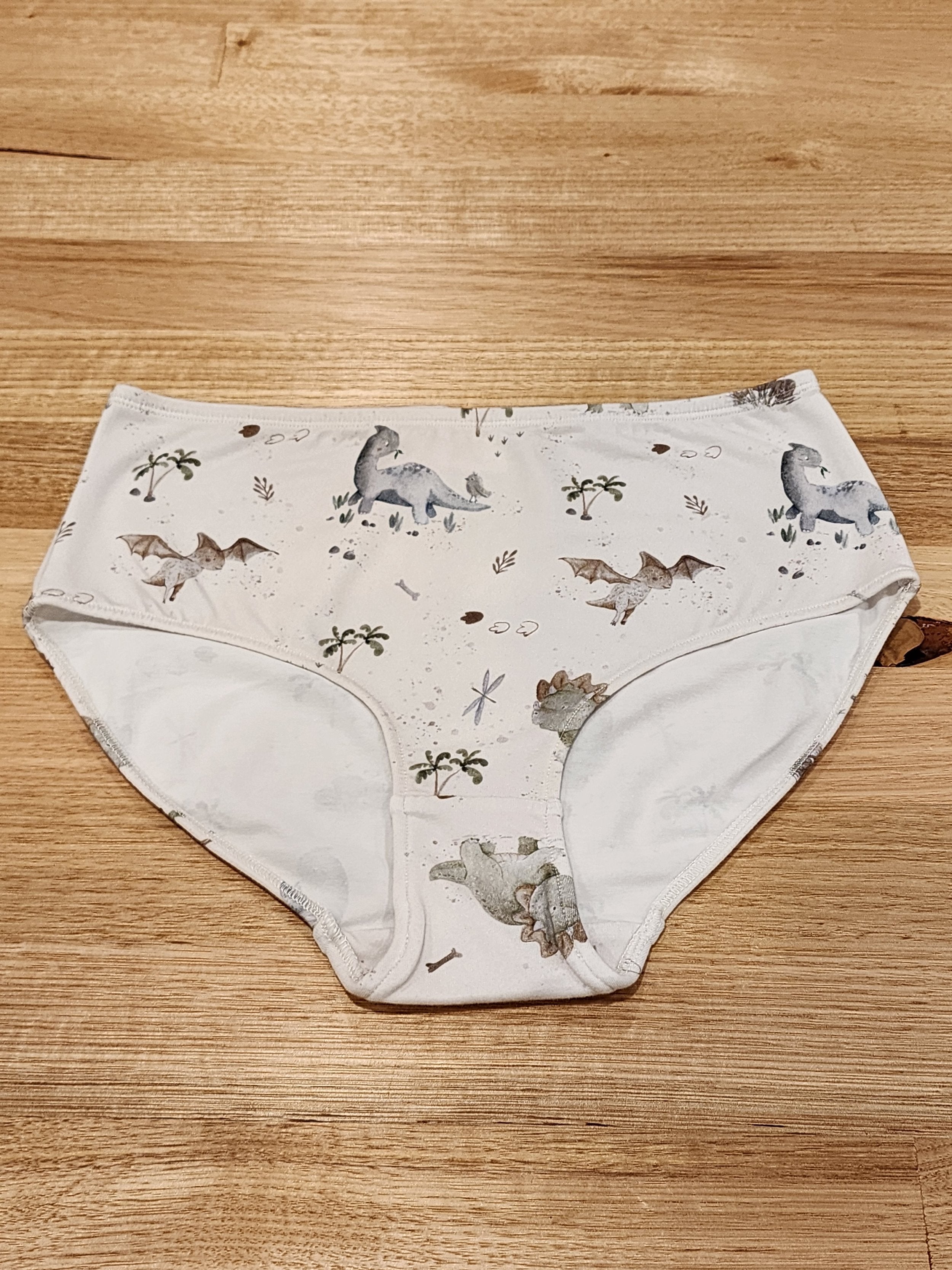 Big Girls Briefs Baby Dinosaurs-SQ5444411