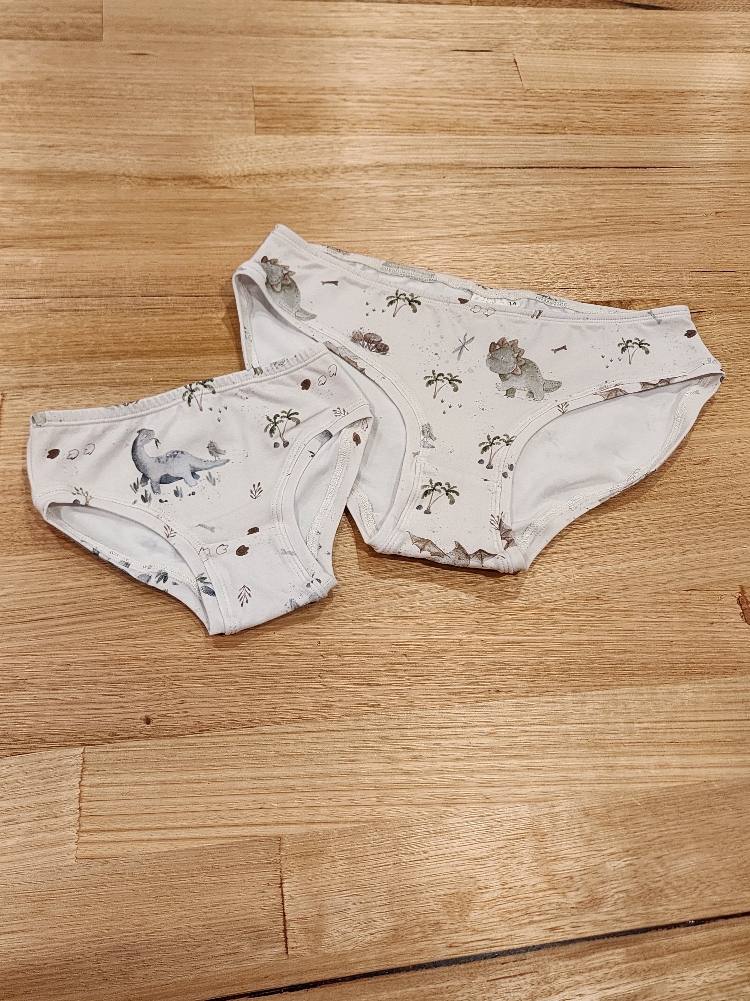 Baby Dinosaurs Little Girls Briefs-SQ2708438