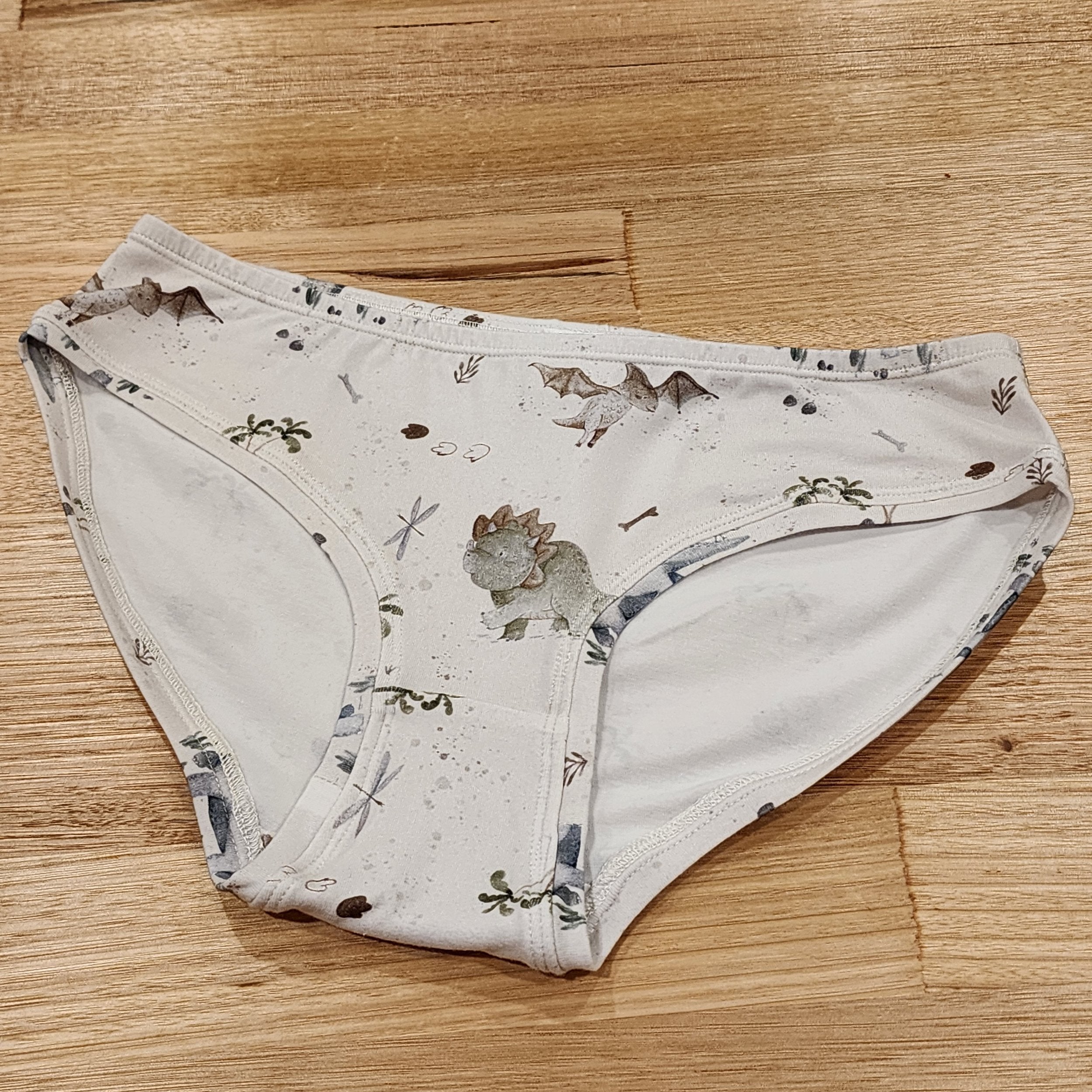 by Audrey and Grace Baby Dinosaur Womens Hipster Briefs-SQ8299516