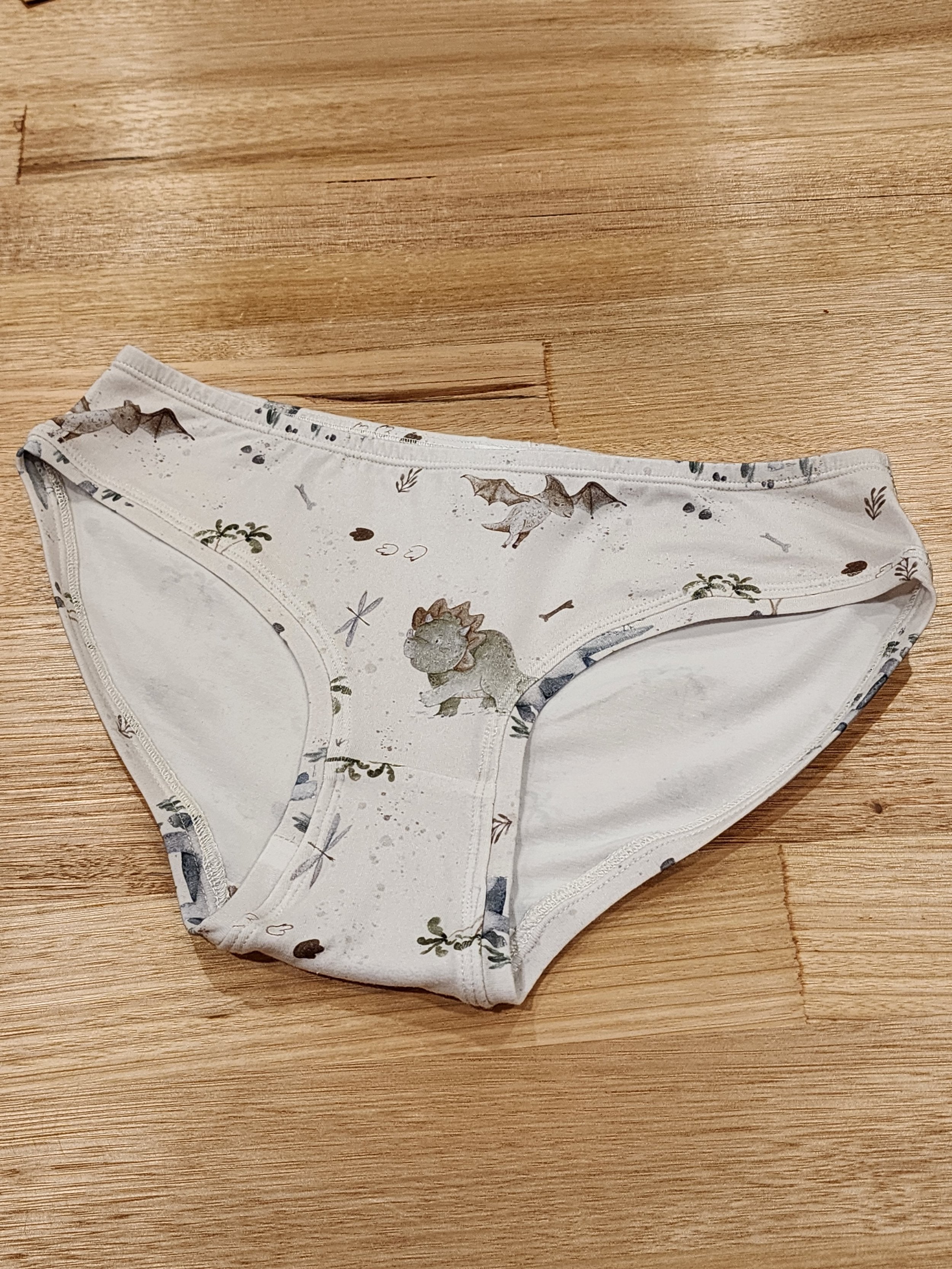 by Audrey and Grace Baby Dinosaur Womens Hipster Briefs-SQ8299516