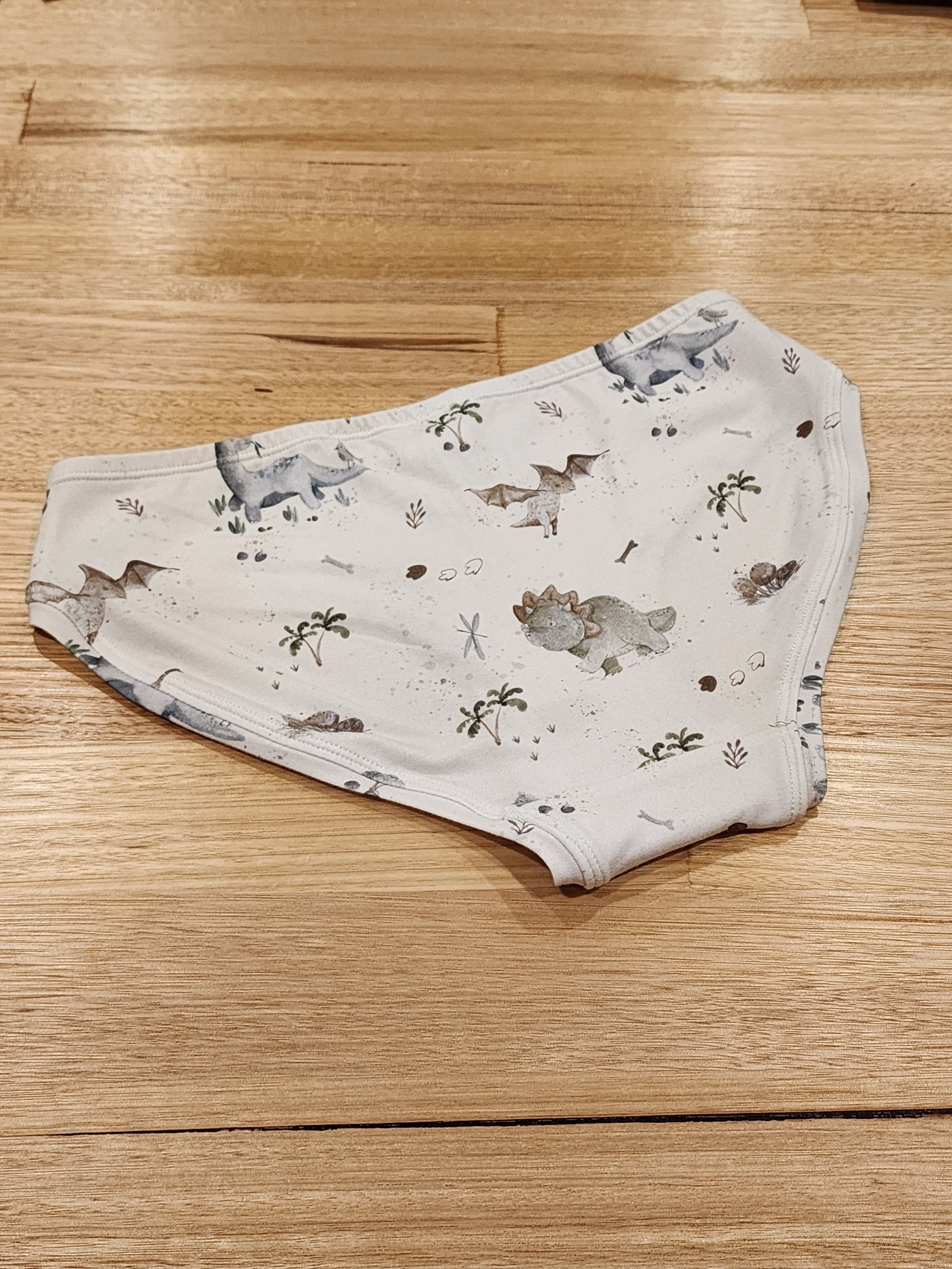 by Audrey and Grace Baby Dinosaur Womens Hipster Briefs-SQ8299516