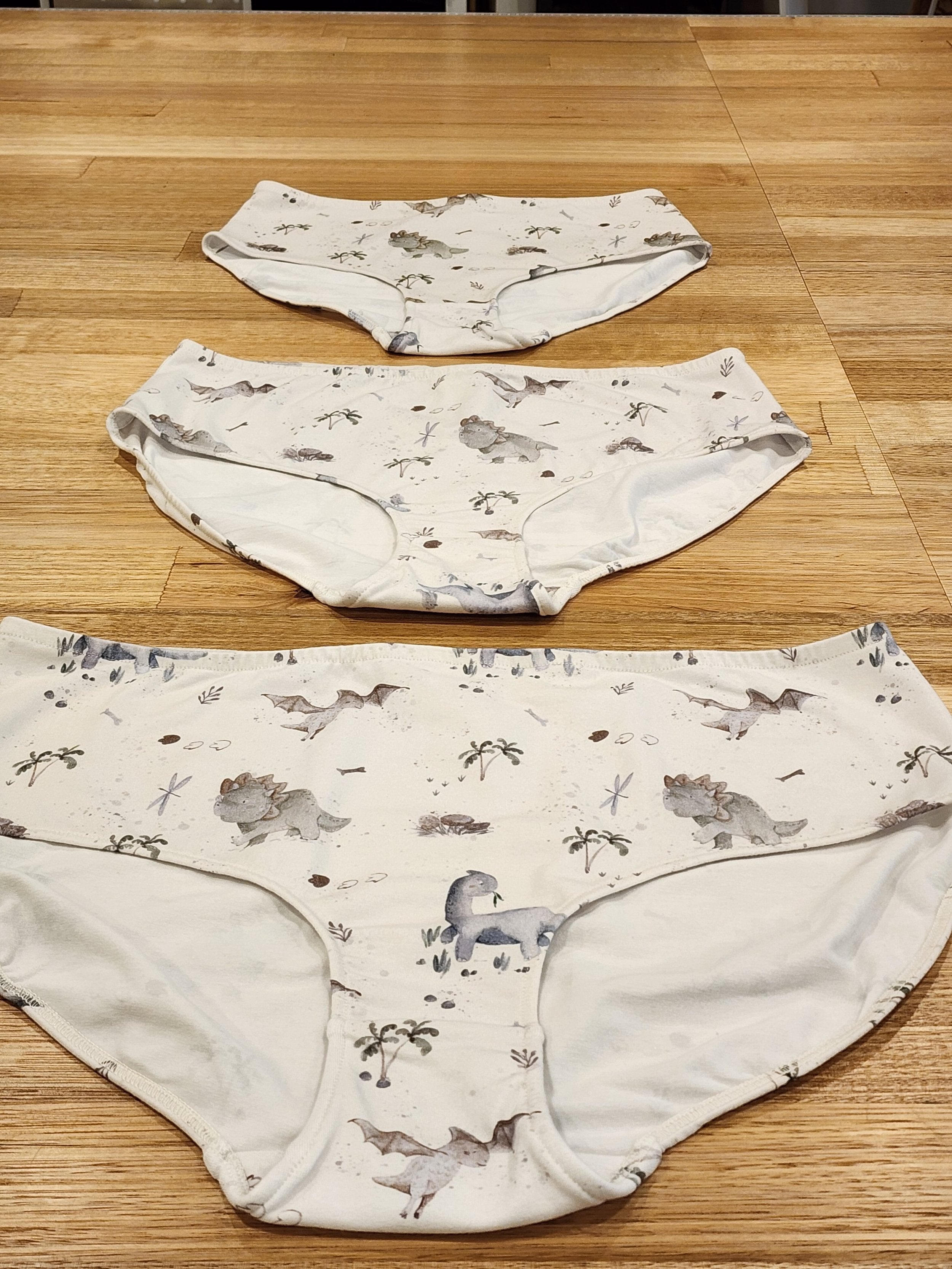 Big Girls Briefs Baby Dinosaurs-SQ5444411